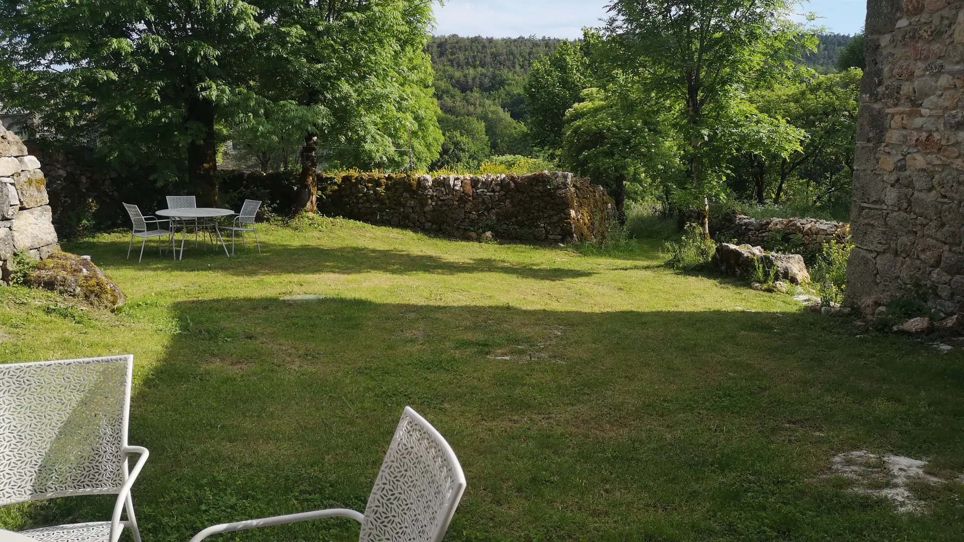 IMG_20210609_182959[1]