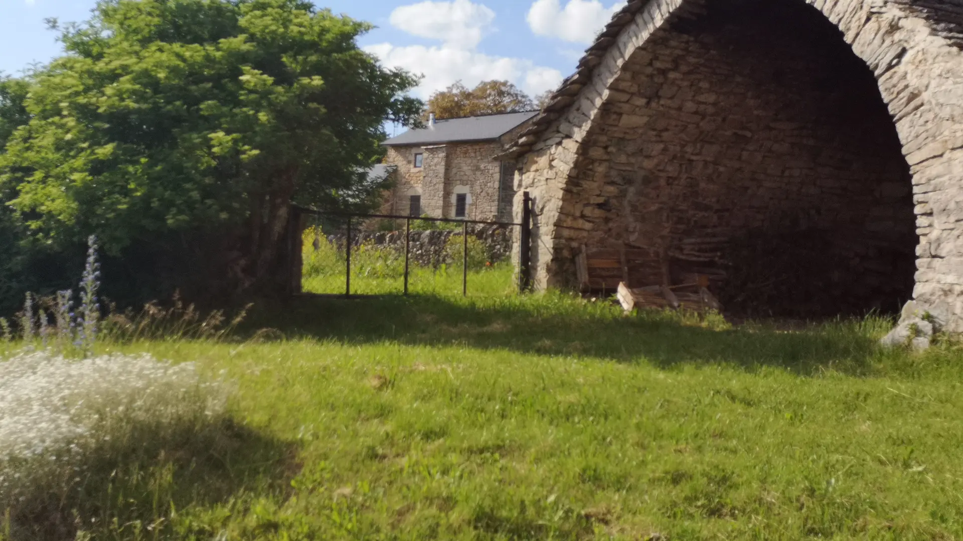 IMG_20210609_183442[1]