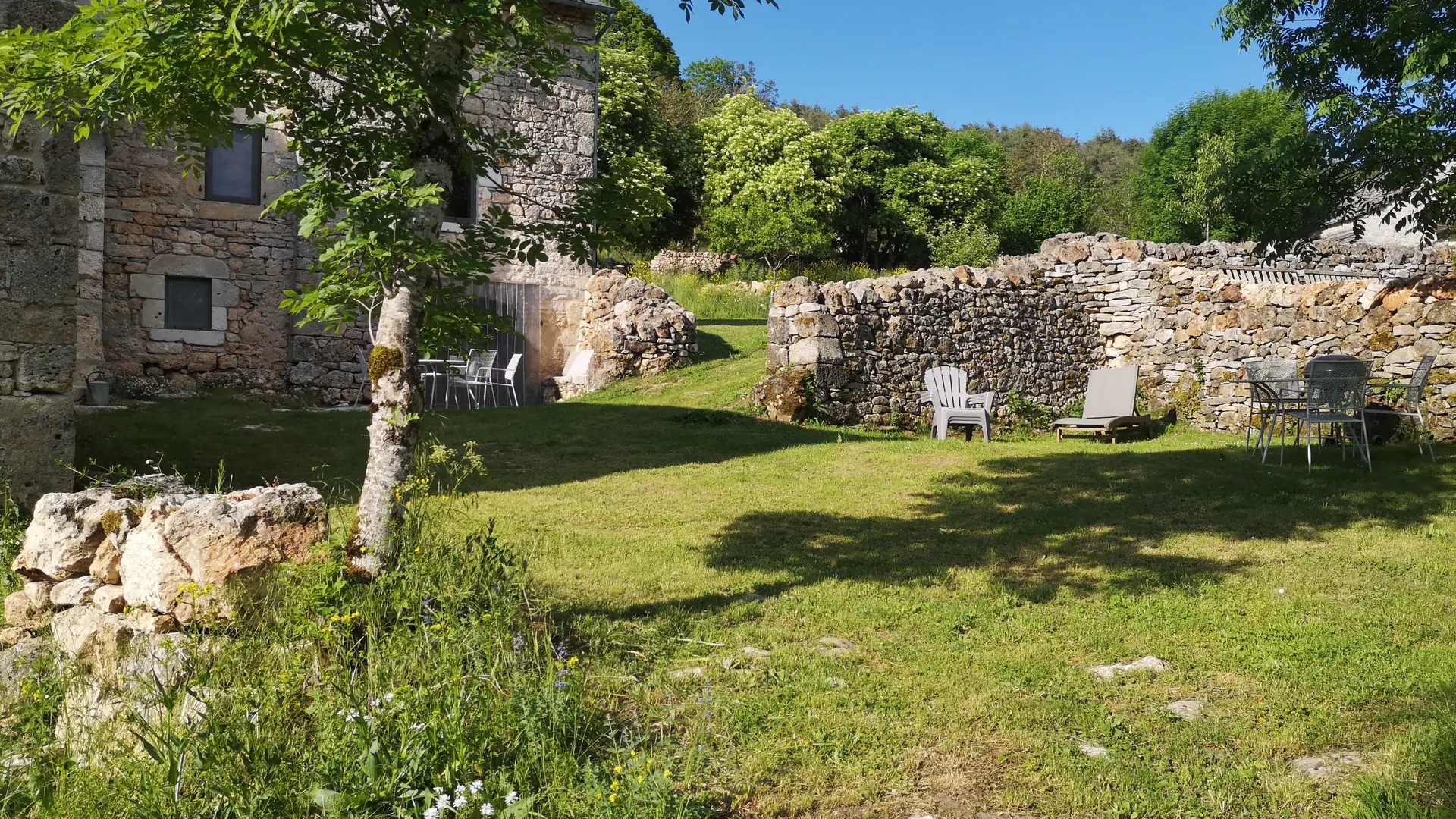 IMG_20210609_183632[1]