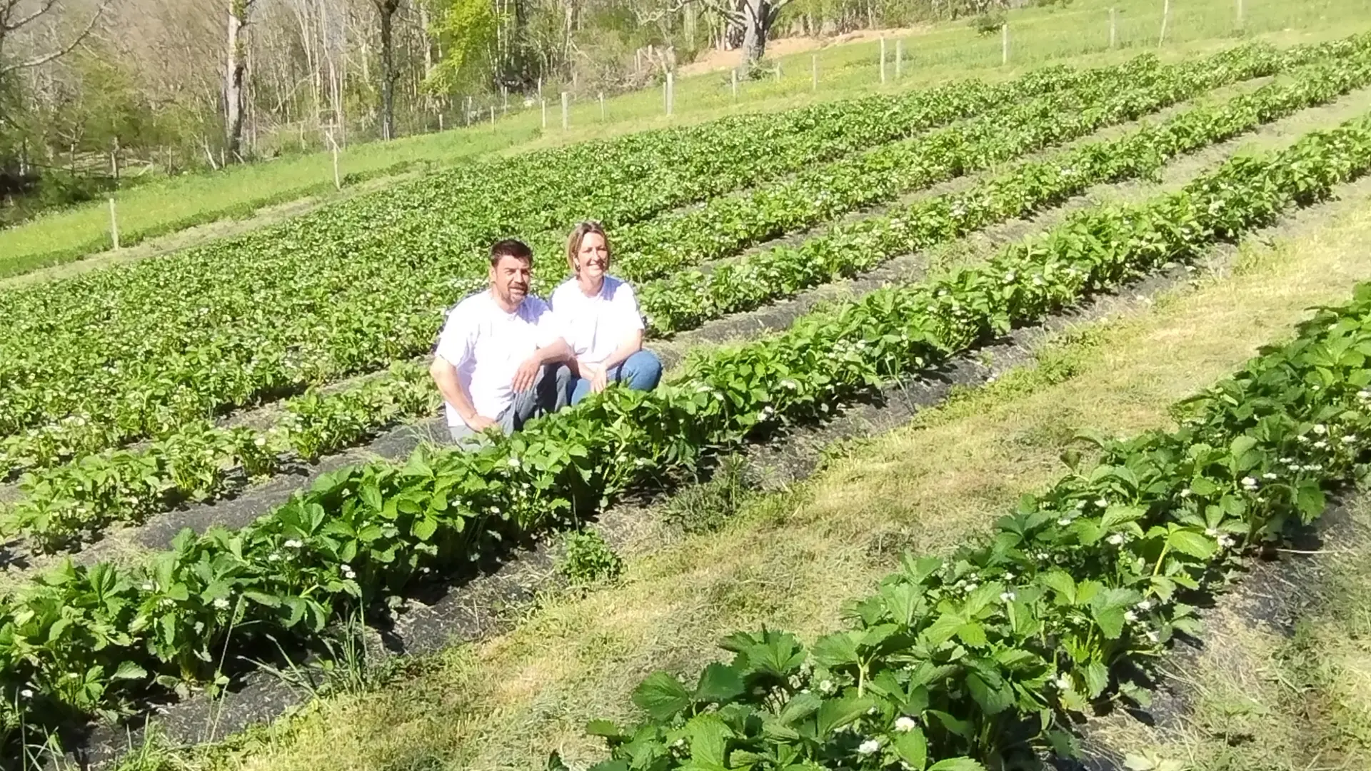 Les agriculteurs au champ