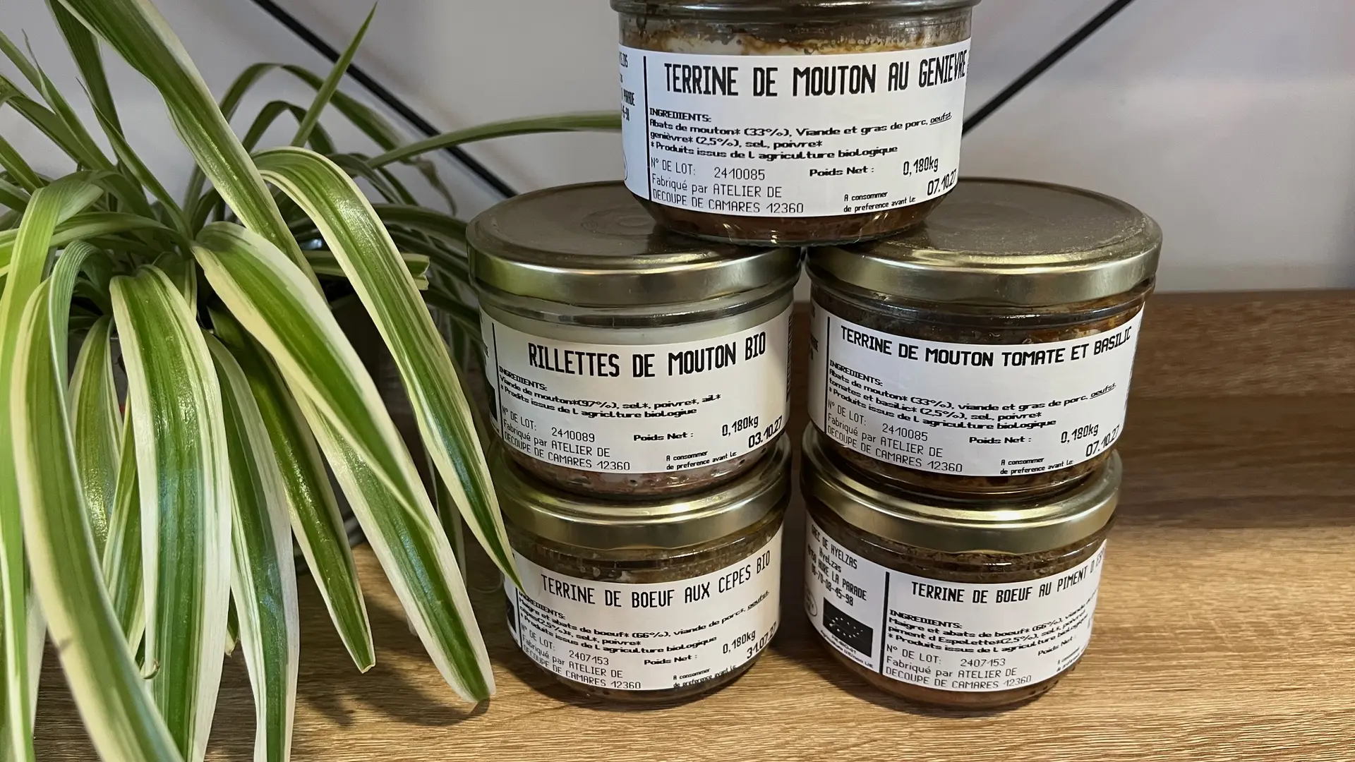 Glacier Armand et Marie Causse Méjean