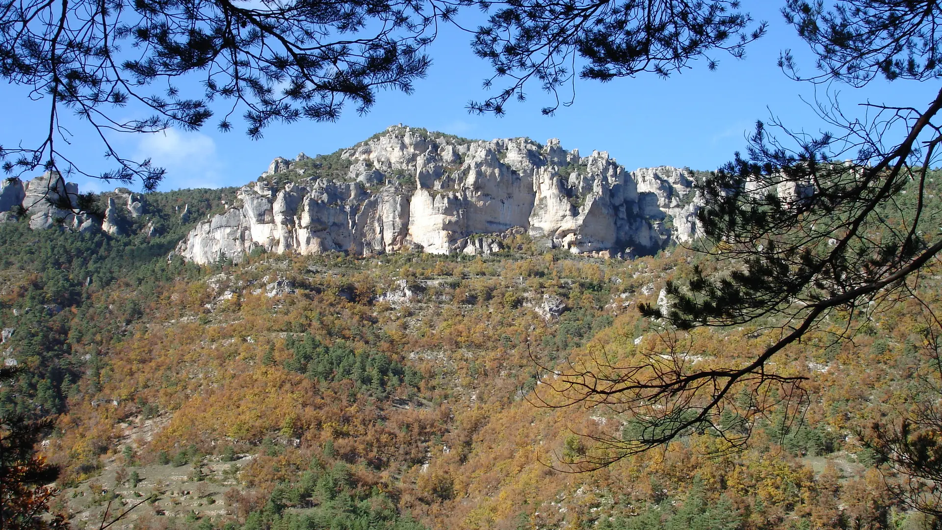 GR 736 - Linéaire des Gorges du Tarn