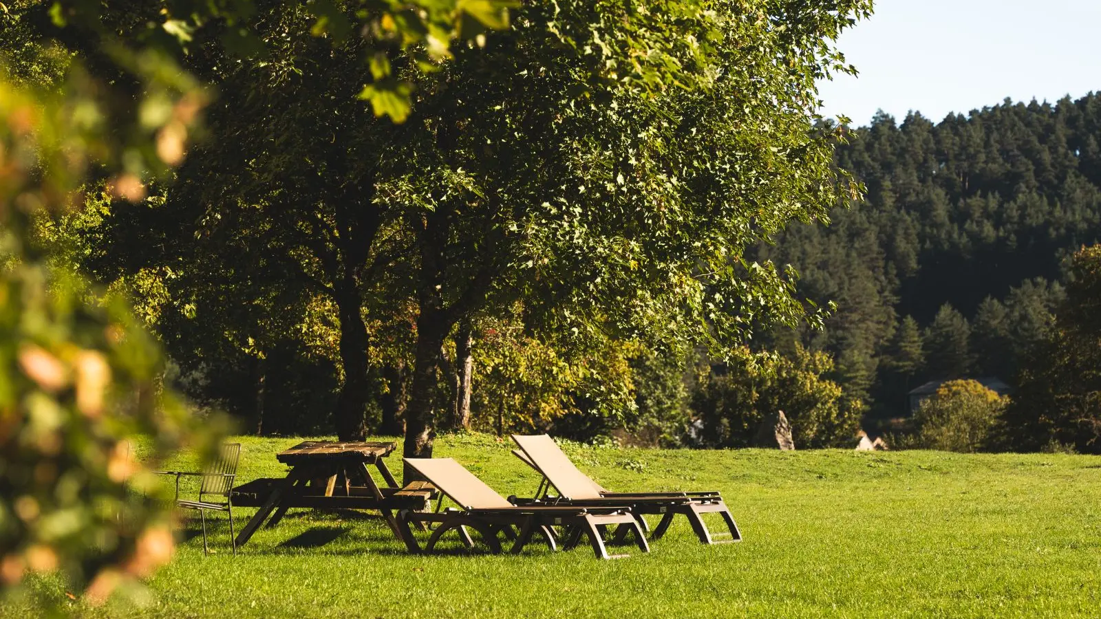 Parc naturel de 3 hectares