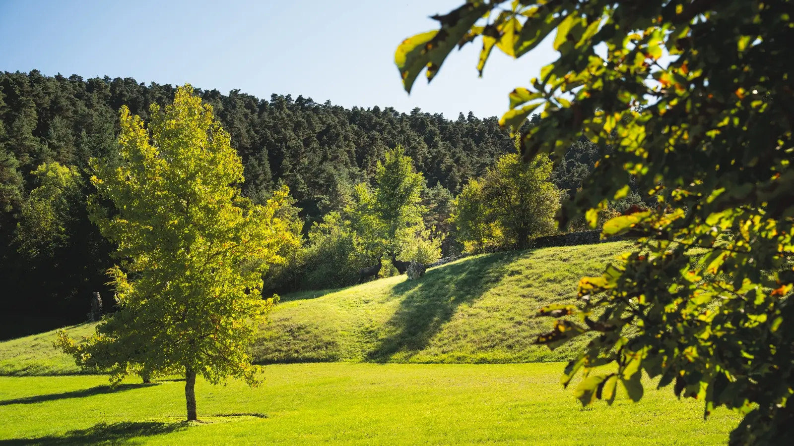 Parc naturel de 3 hectares