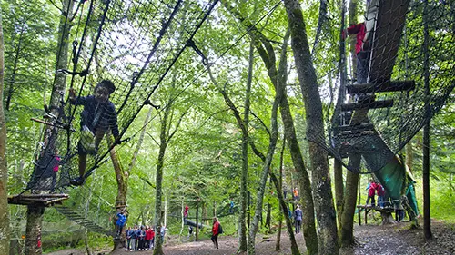 L15 new filet accro 13-40 arbres