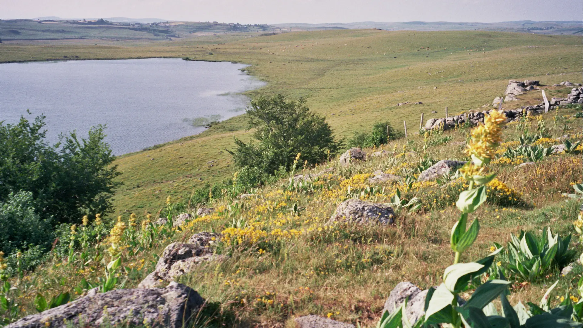 HLOLAR0480009788 - LAC DE ST ANDEOL