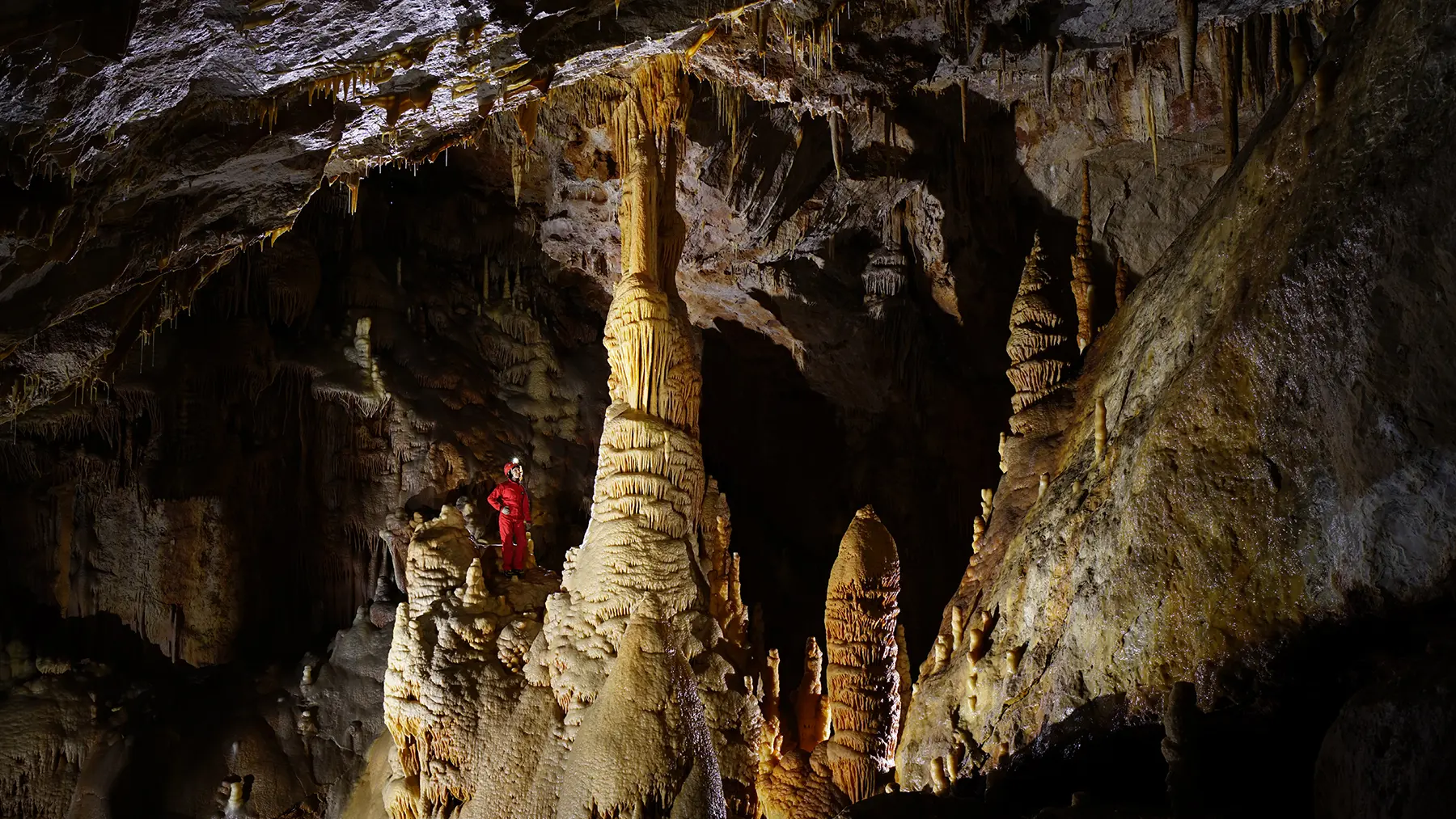 LOILAR048V508ENP_dargilan1