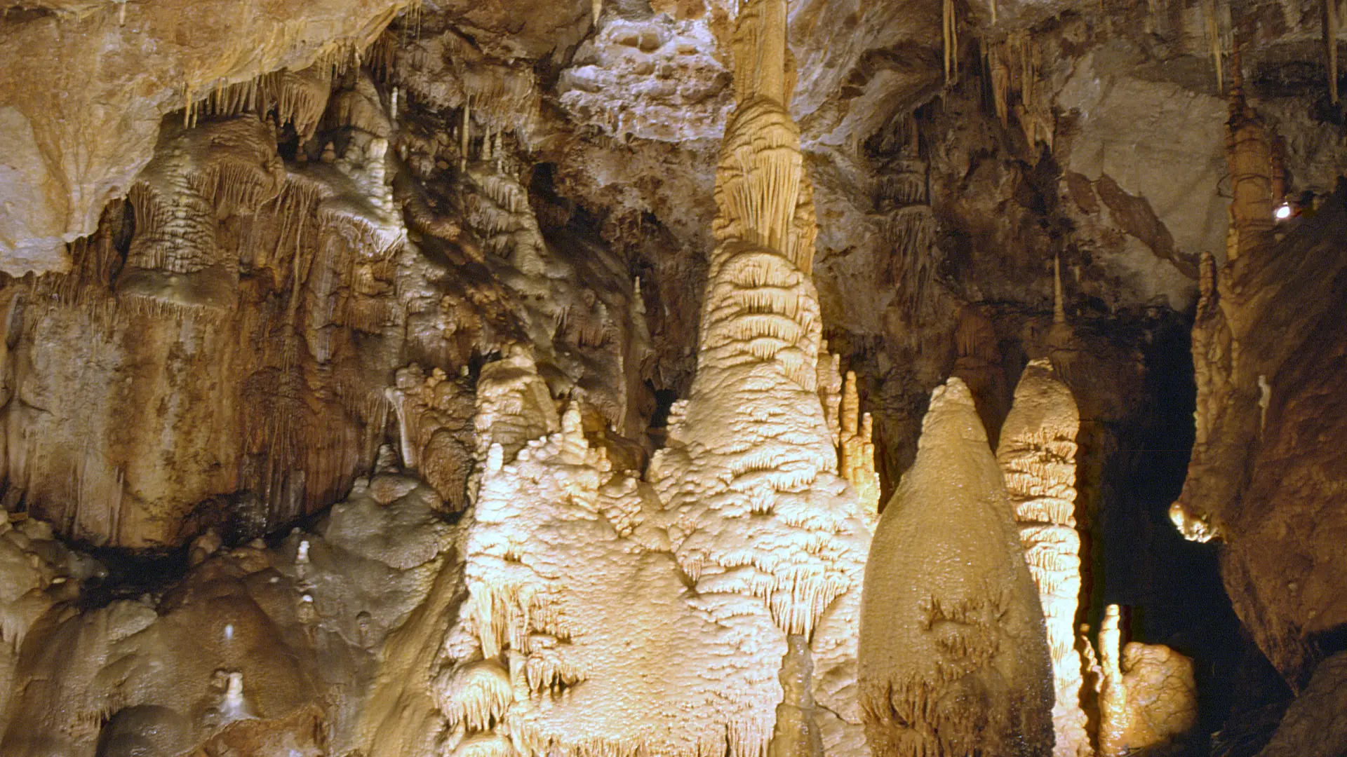 LOILAR048V508ENP_dargilan2