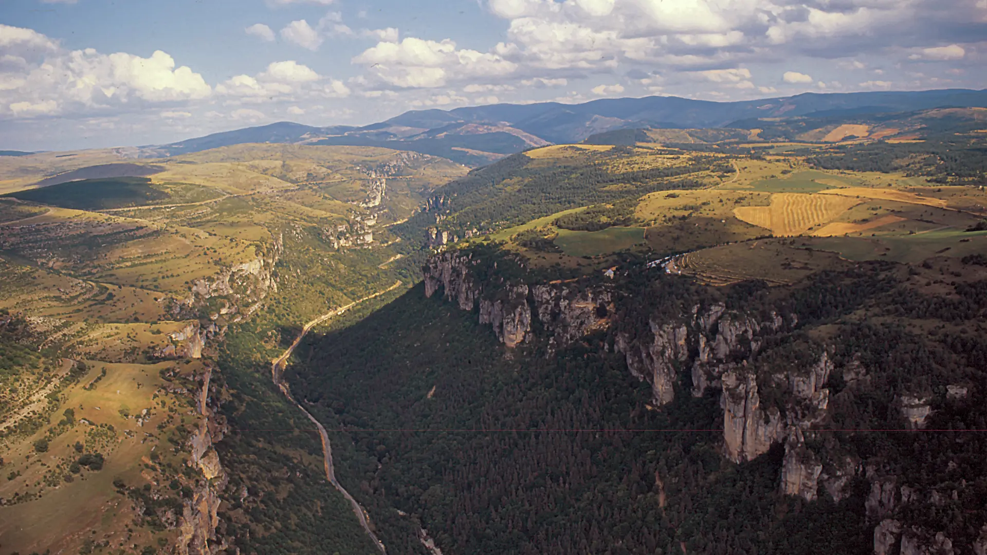 LOILAR048V508ENP_dargilan4