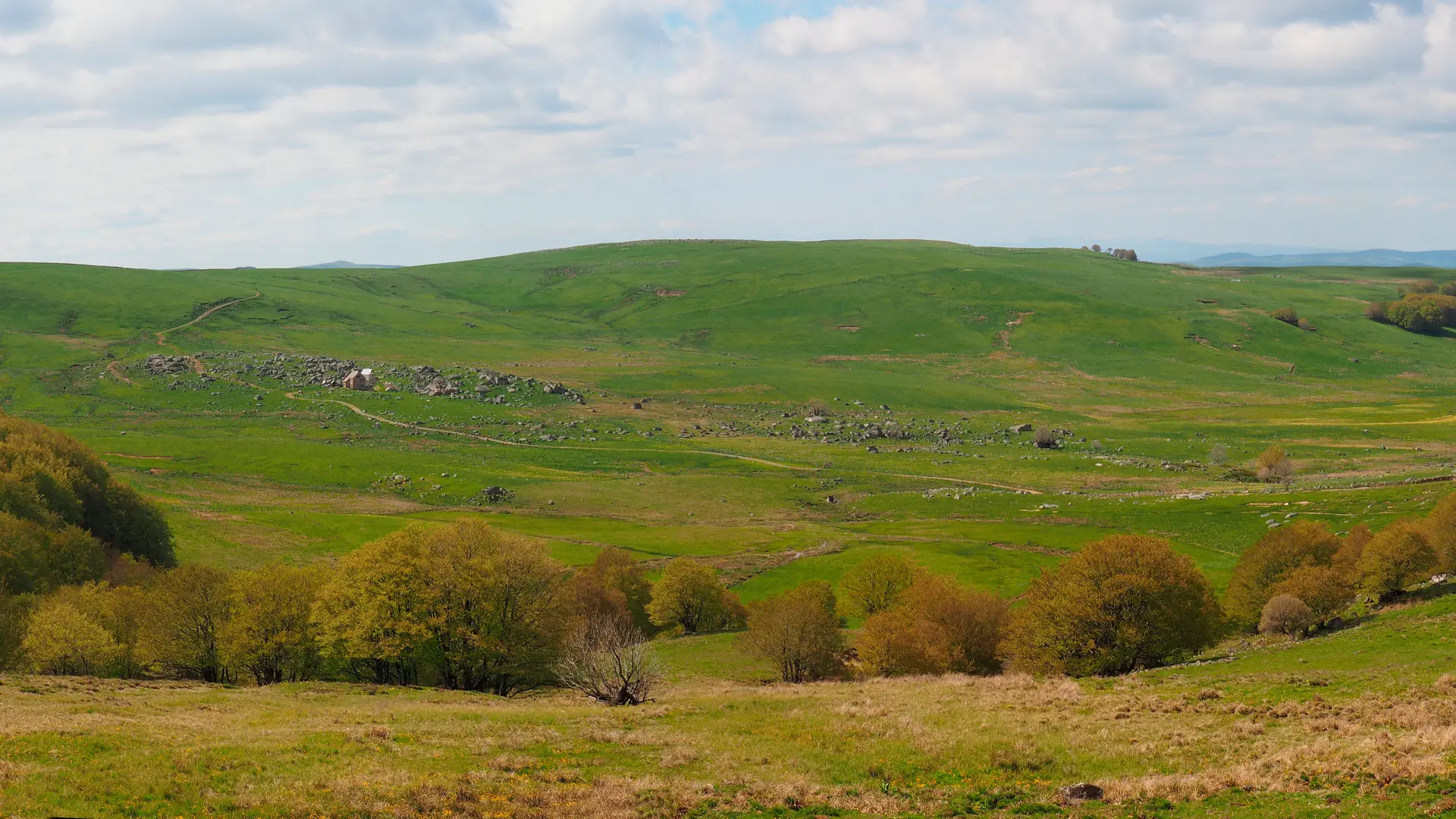 Le plateau de l'Aubrac