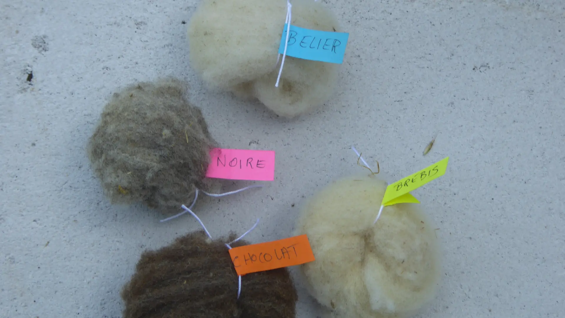 Atelier de la Mare Basse - laines