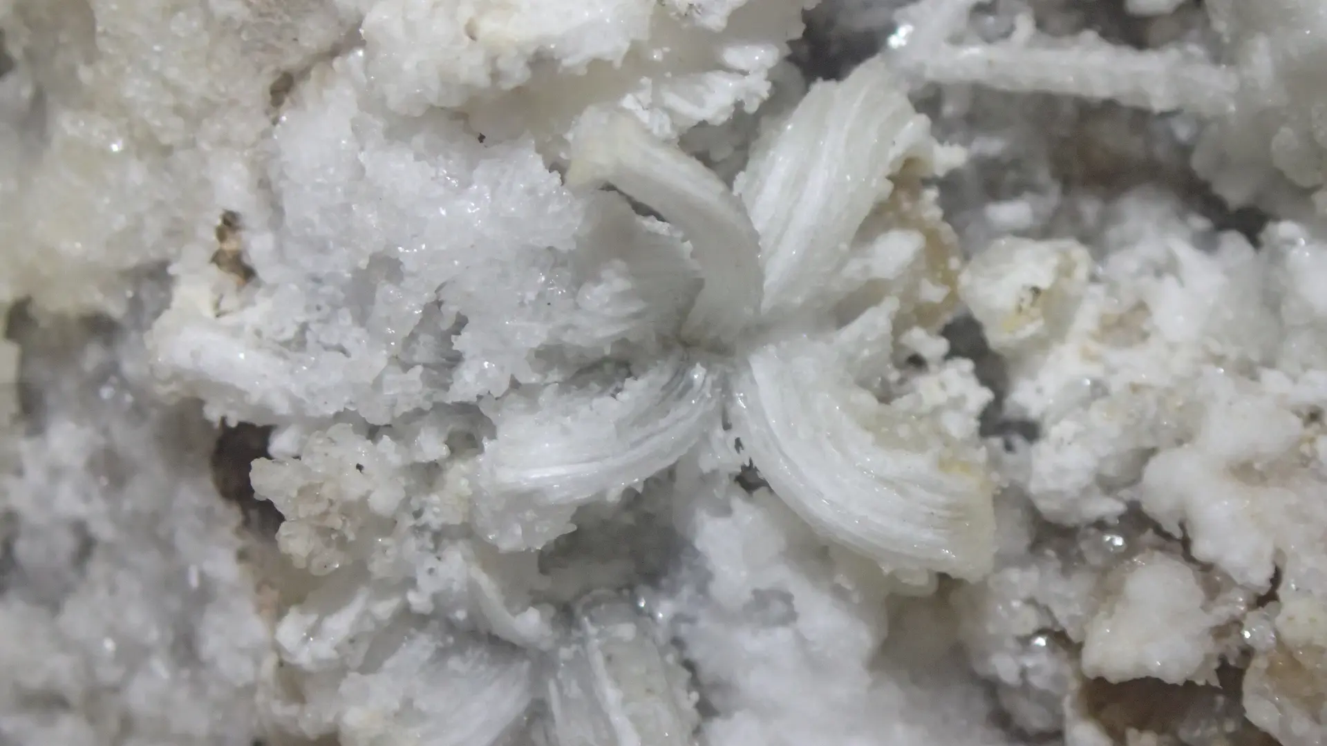 B&ABA SPORT NATURE spéléo - fleur de gypse