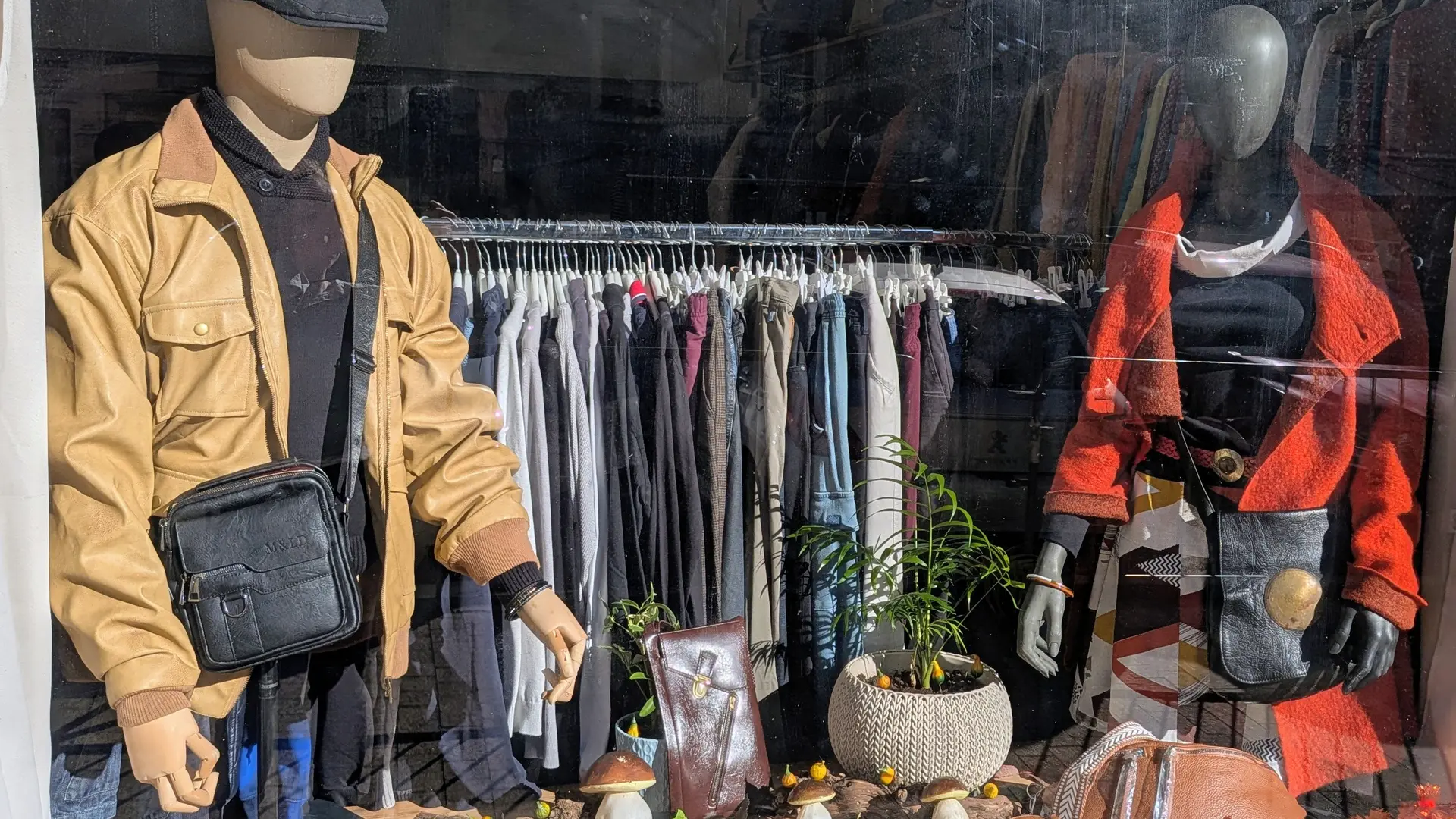 PXL_20251108_100627407~2