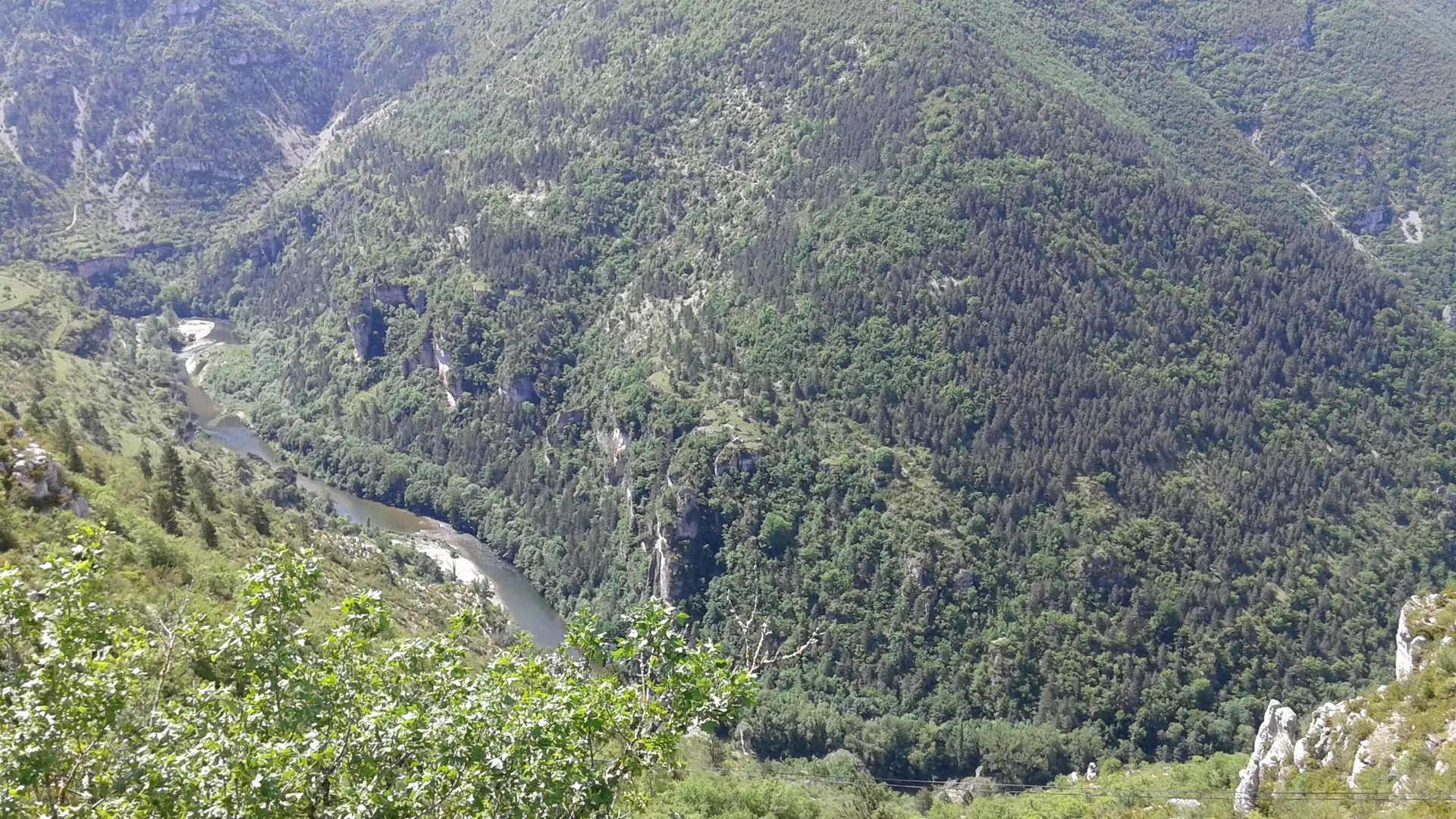 Panorama de Cabrunas - Laval du Tarn