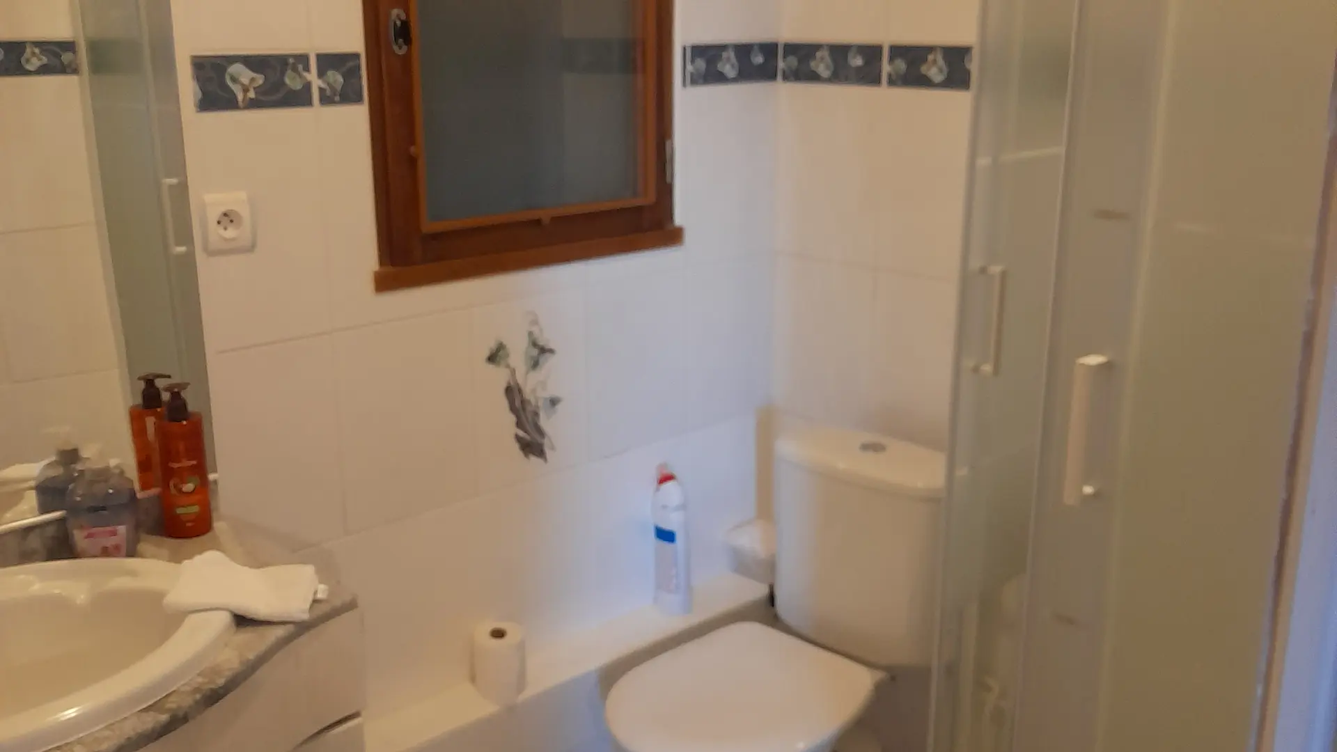 Gîte de La Bourgarie, Les Vautours _ Salle d'eau