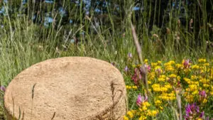 Saveur Lozère - affiné