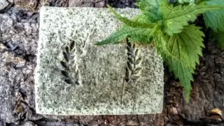 Savon-shampoing solde à l'ortie