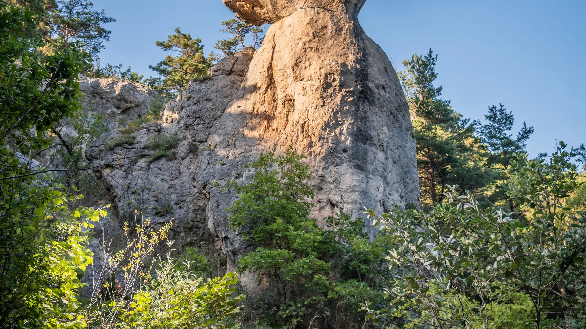 camparolie4.082024GregAlric pour La Cité de Pierres®