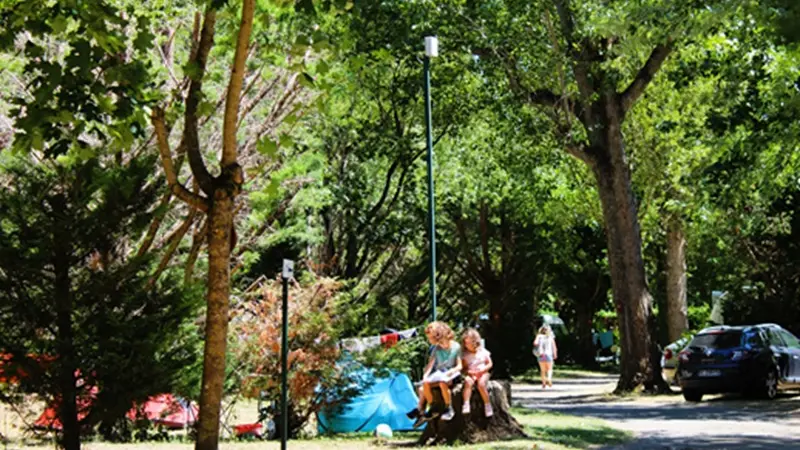 campingletaranisemplacementnature