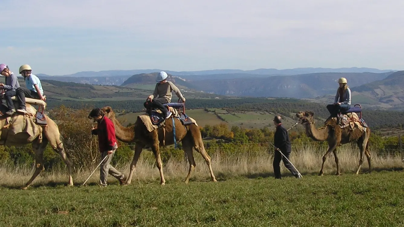 Balade à dromadaire, Ferme de La Blaquière