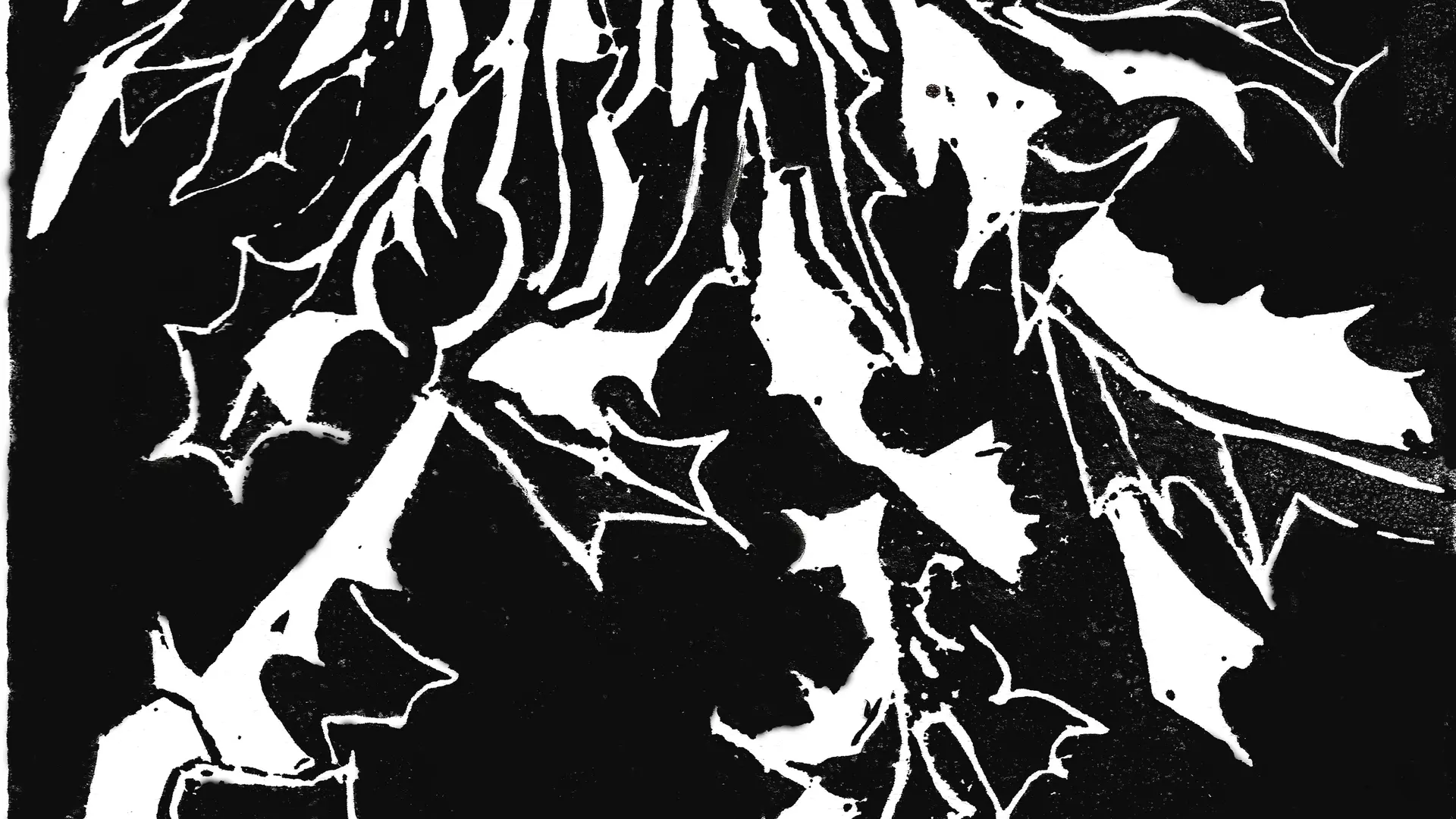 cardabelle-linogravure