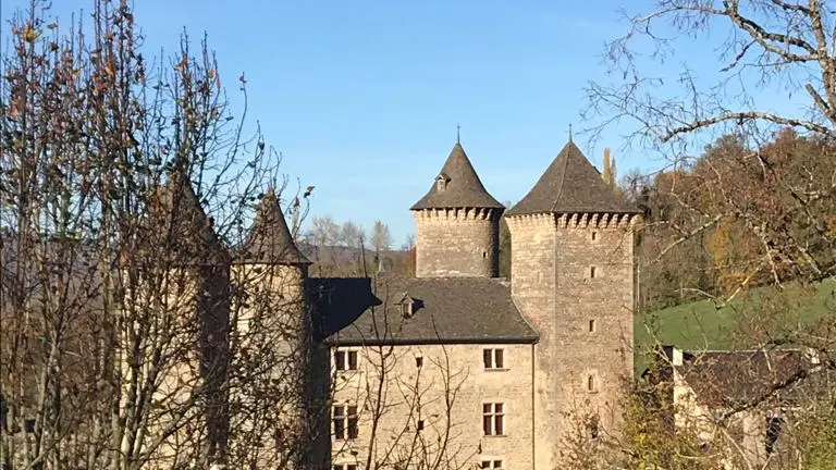 Château de Saint Saturnin