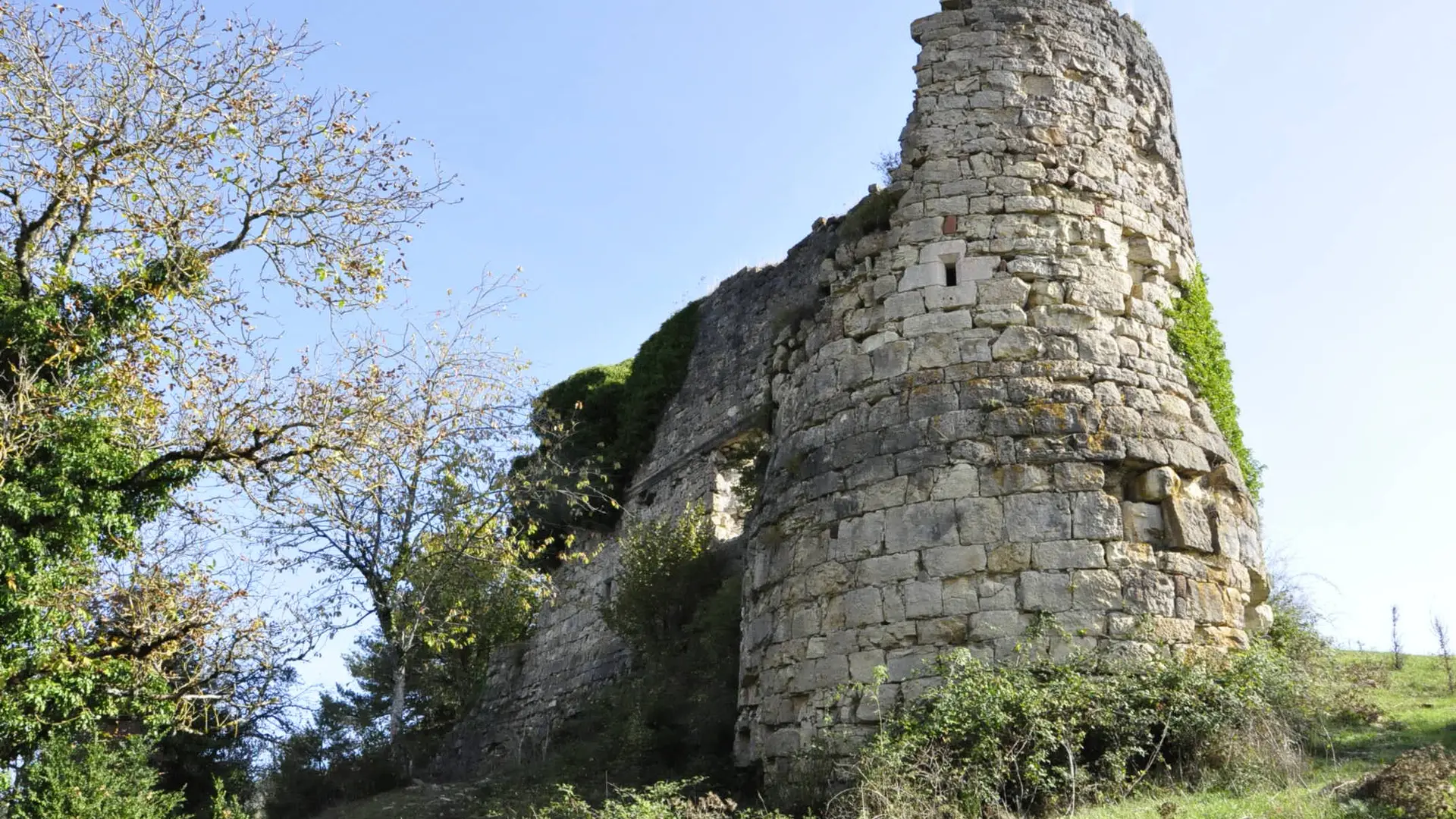Ruines du château de Montferrand_1