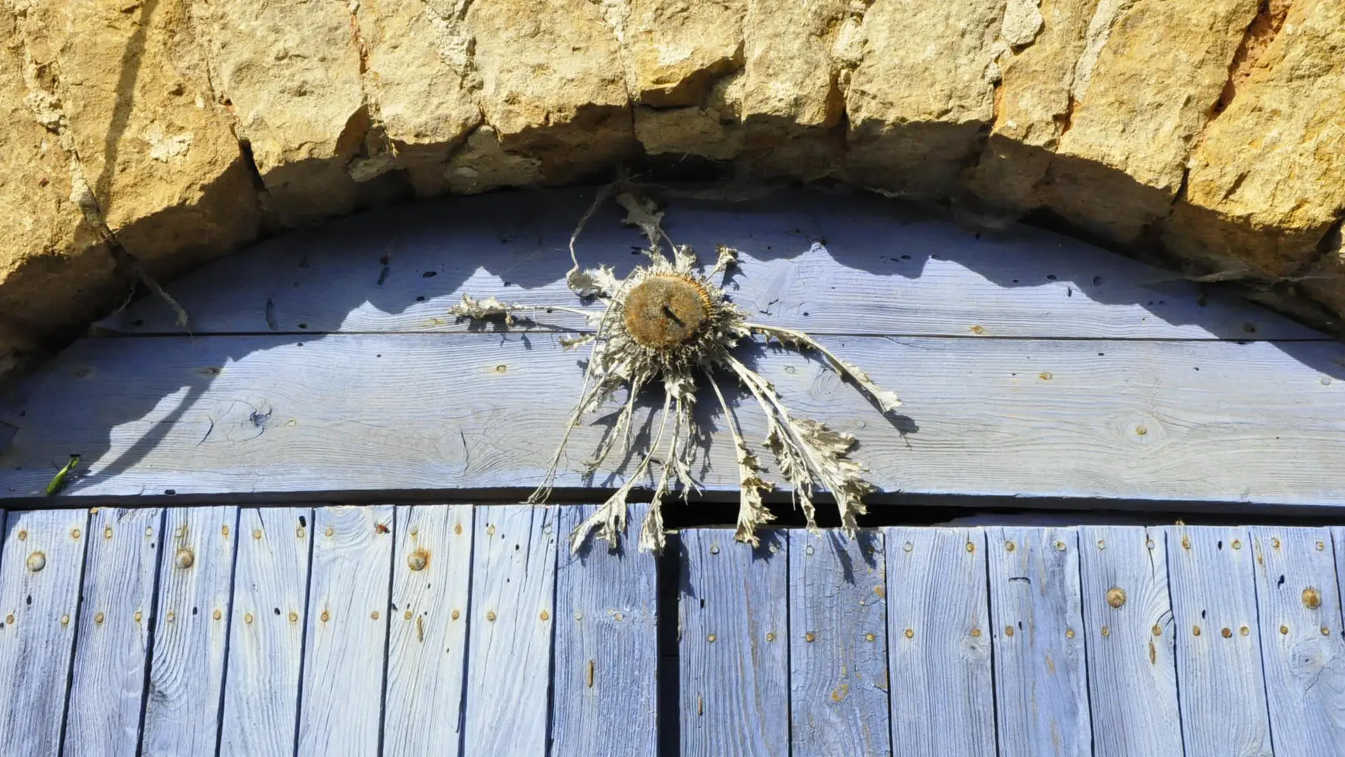Chardon sur une porte_4