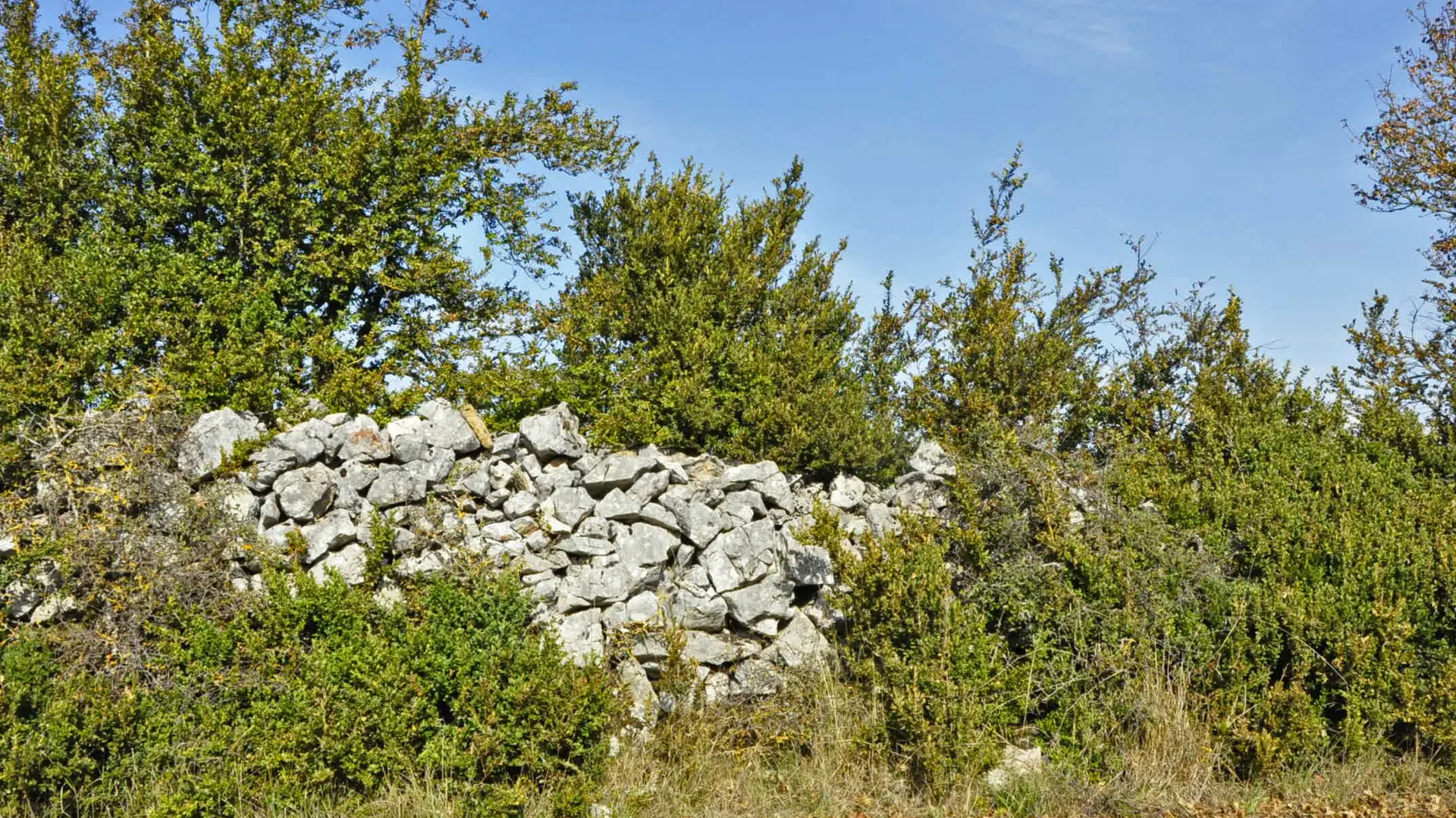 Un clapas (amoncellement de pierres)_3