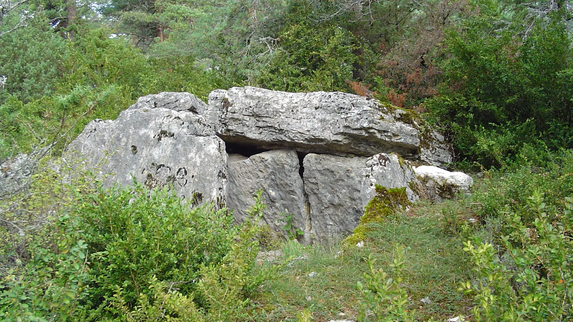 dolmen du Chardonnet_3