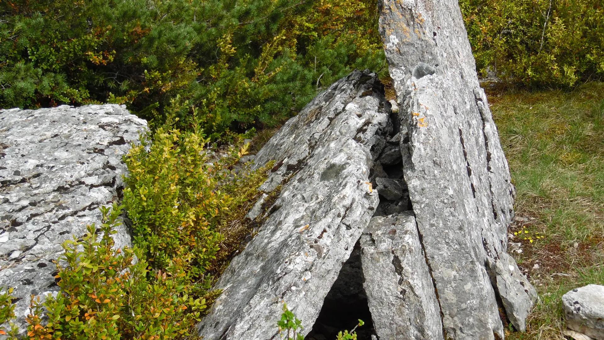 Dolmen près de Soulages_4