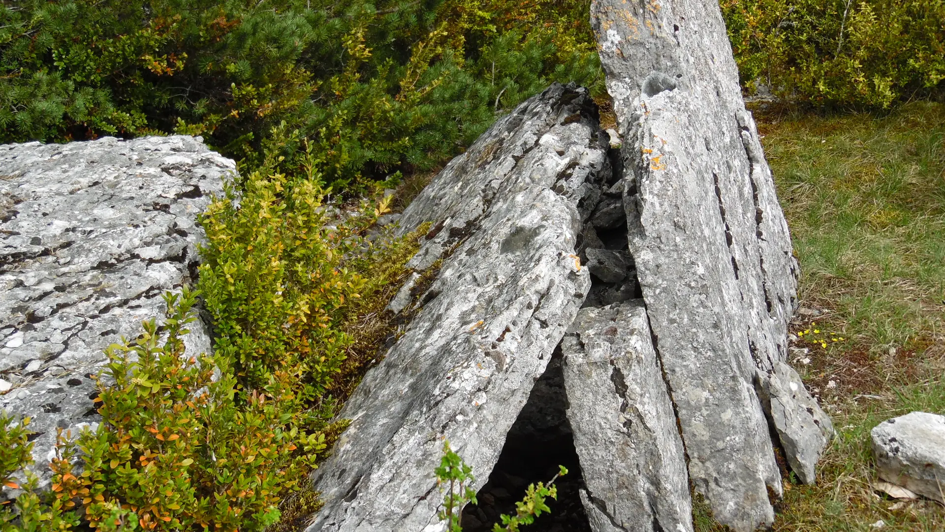 Dolmen près de Soulages_1