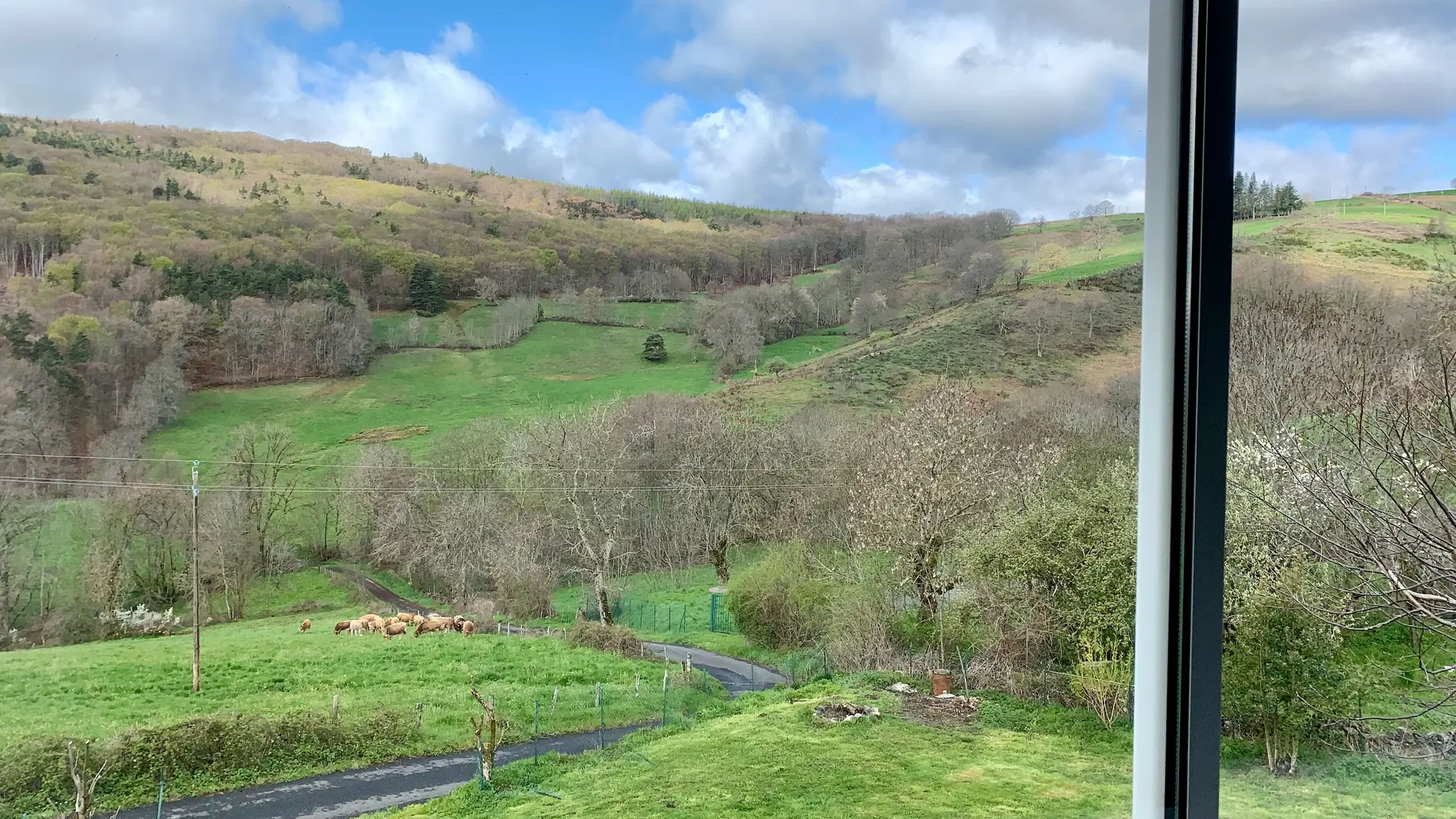Grange-baie-vitree-vue-panoramique
