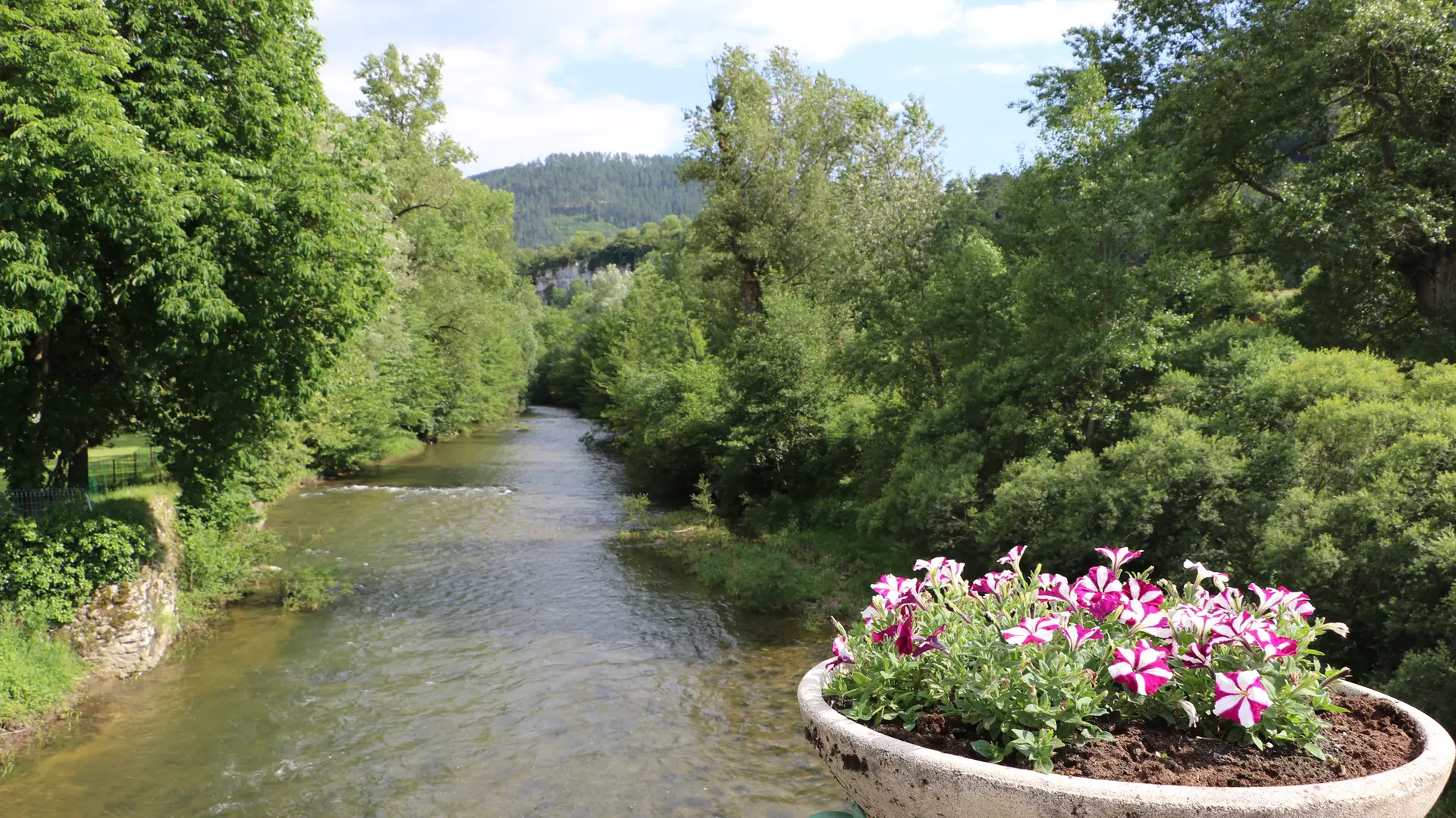 Le Lot au Pont Vieux à Chanac_1