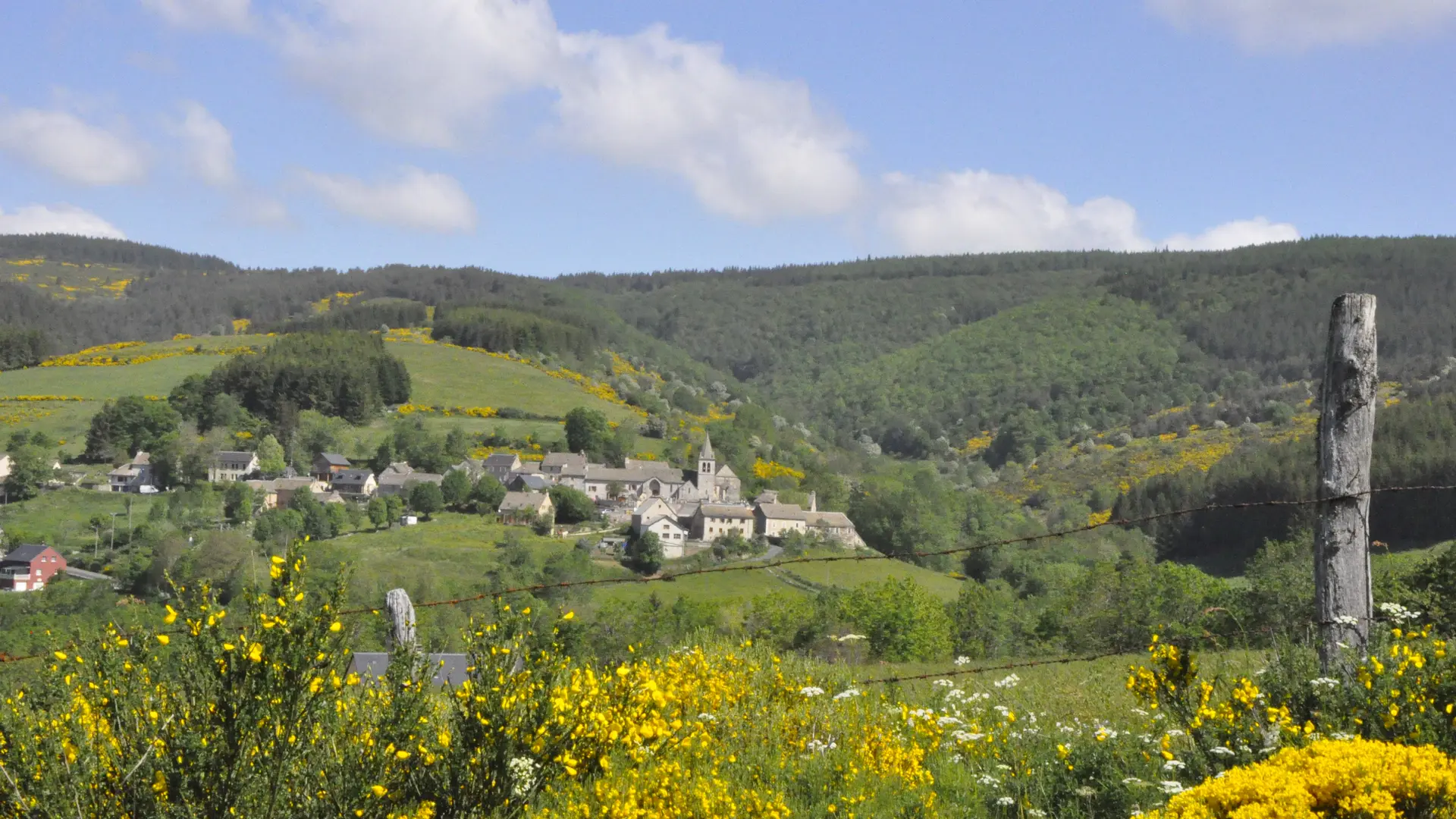 Le plateau de l'Aubrac