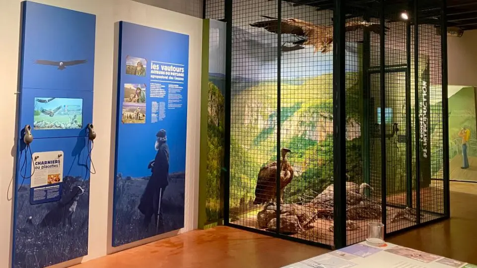 Musée - La volière
