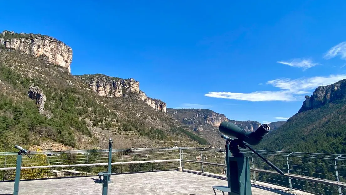 Terrasse d'observation