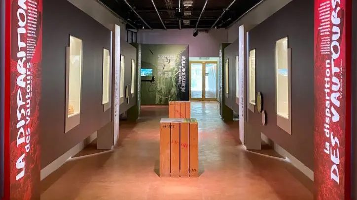 Musée - La disparition