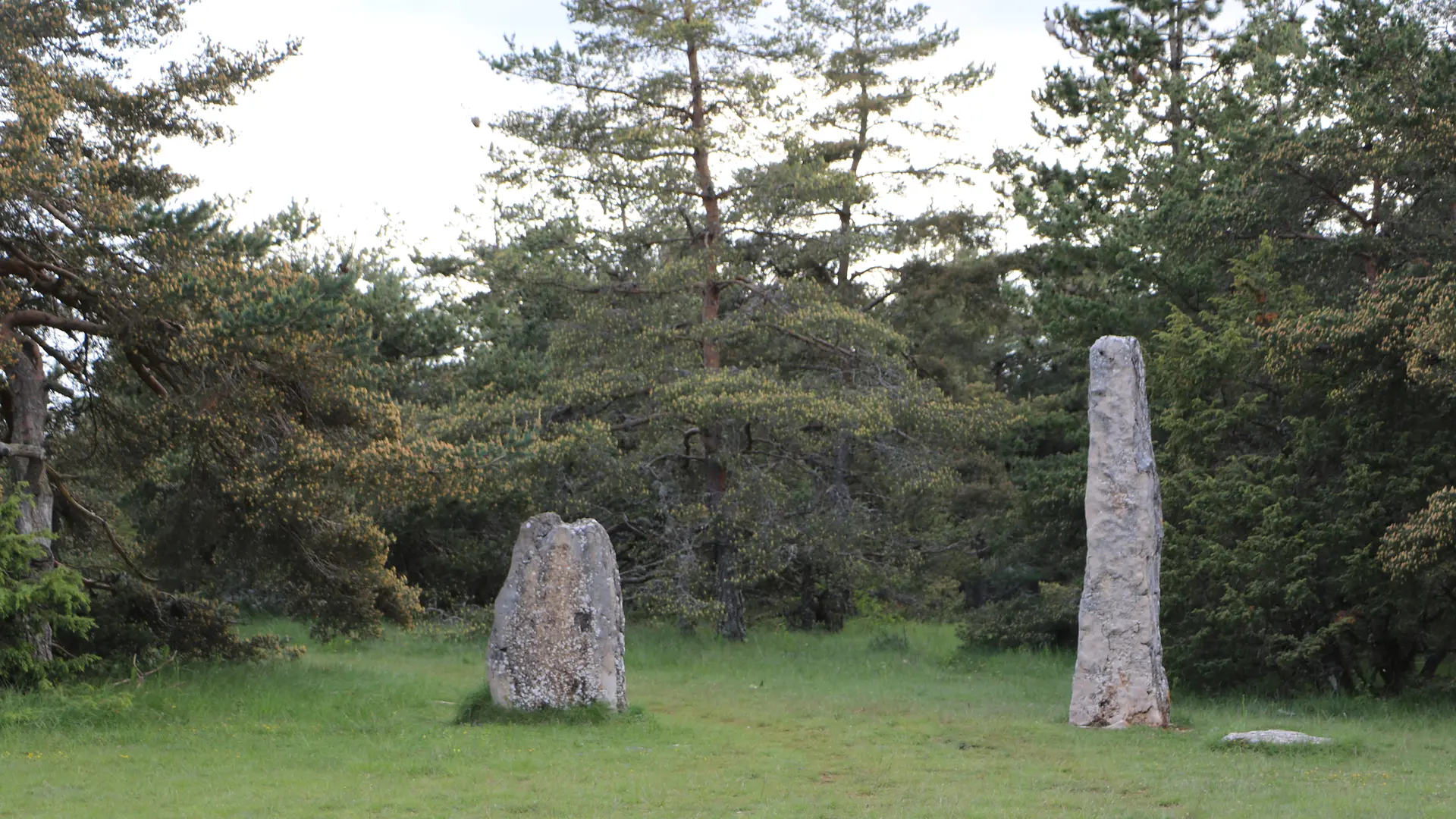 Les menhirs de Roumaldis_1