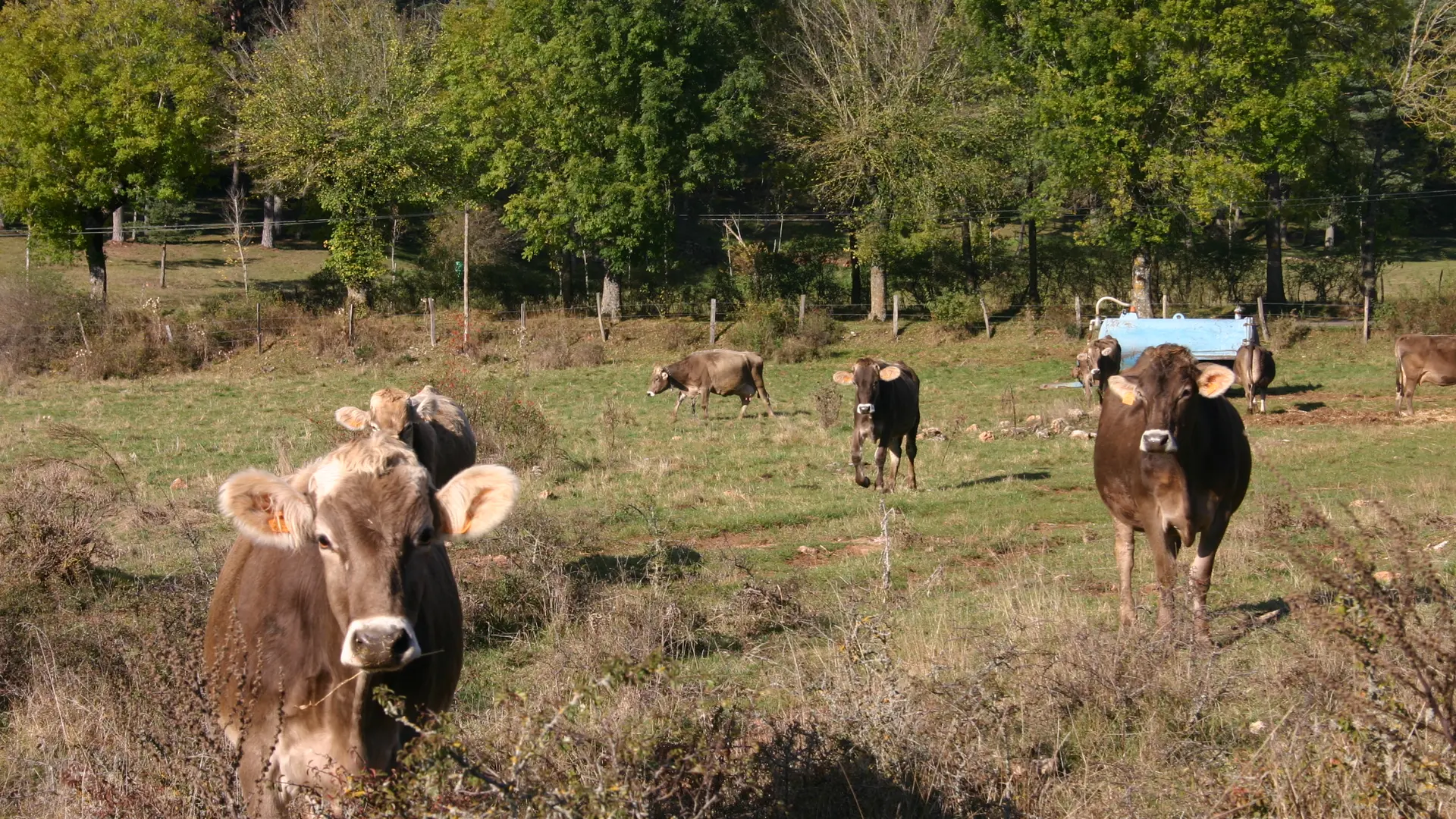 Aire naturelle du Bouquet