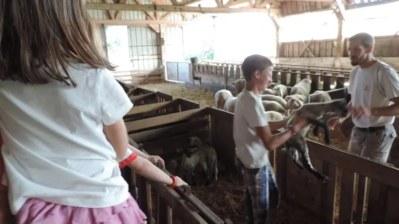 Visite de la Ferme Seguin du gîte Le Jardin, Blayac, Séverac d'Aveyron