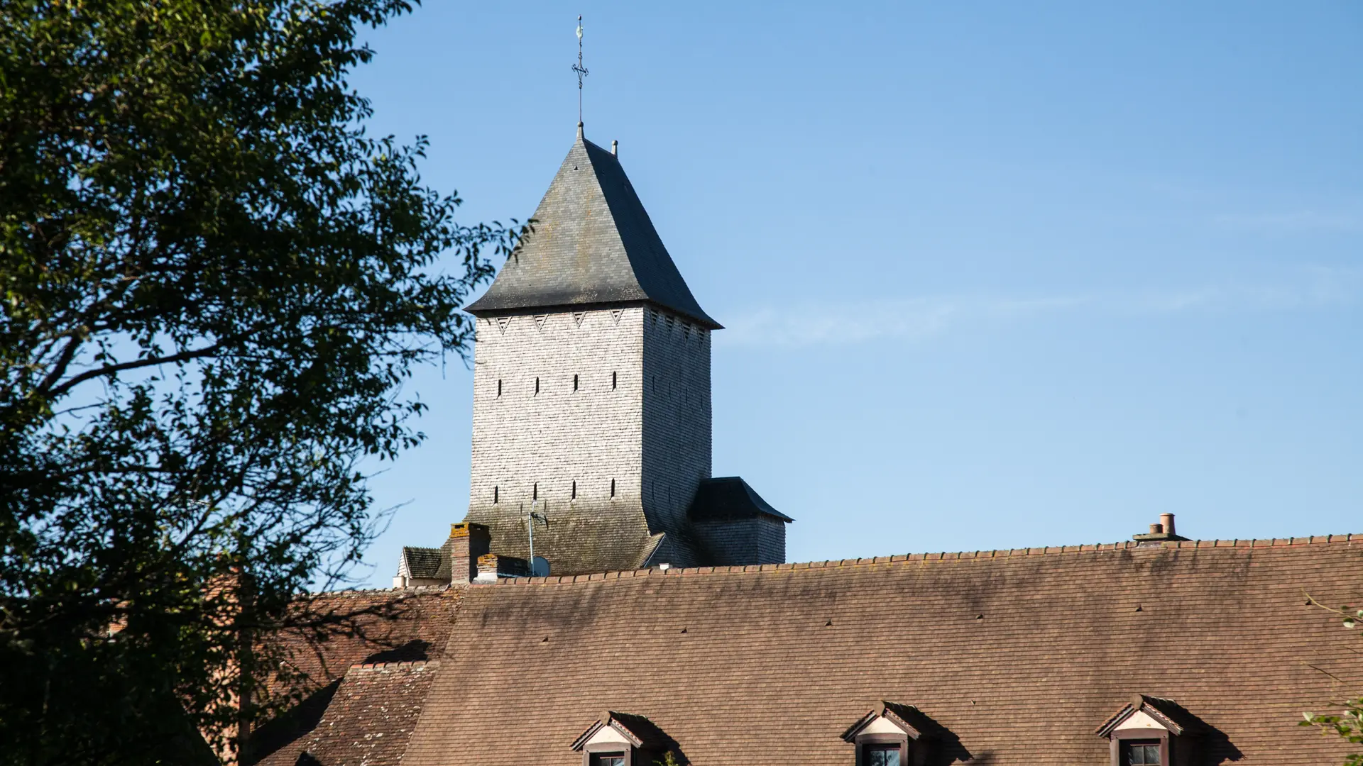 _MG_9488