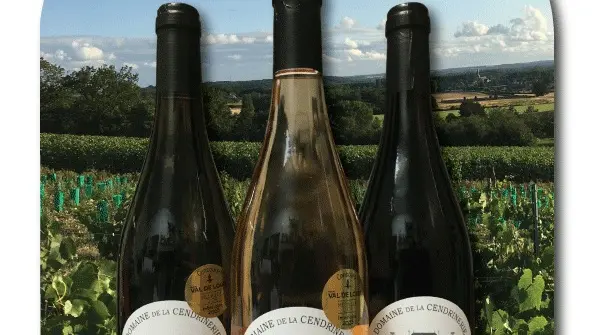 3 bouteilles