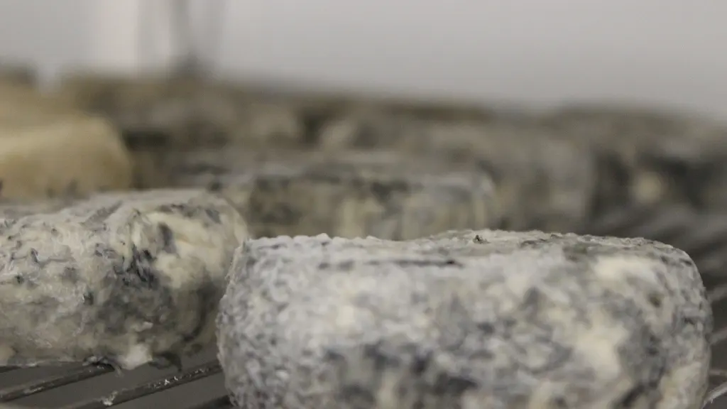 vallee-de-la-sarthe-Fromages-de-sophie-Fromages-cendrés