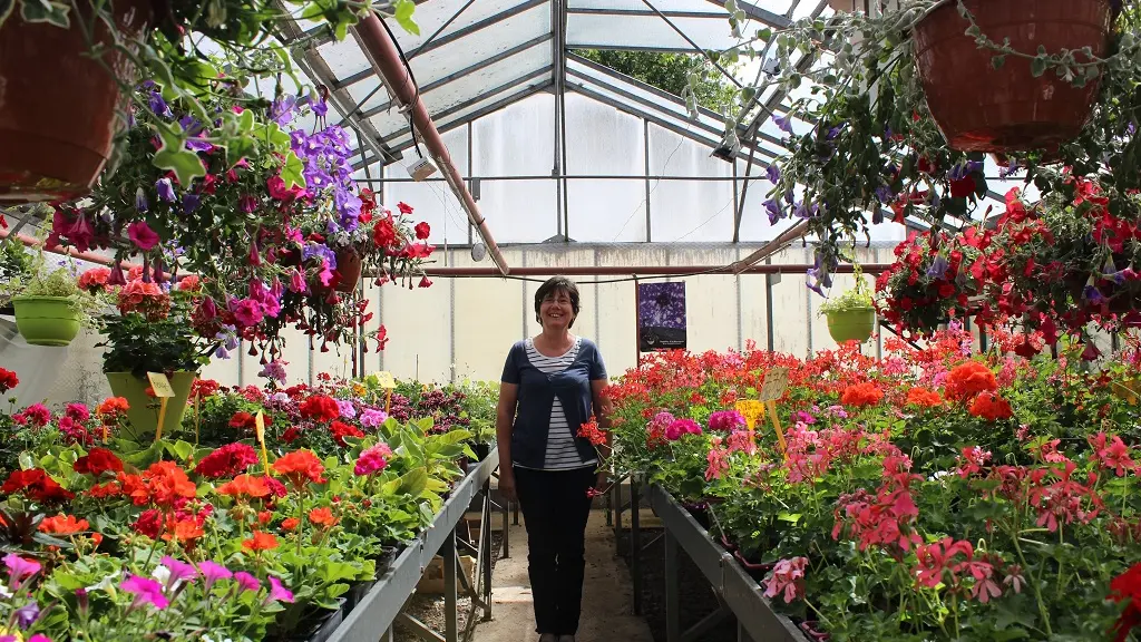 vallee-de-la-sarthe-Hode-Serres-Fleurs