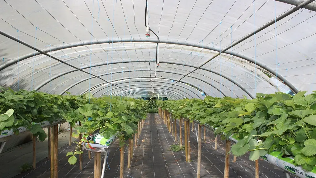 vallee-de-la-sarthe-Hode-Serres-Fraises