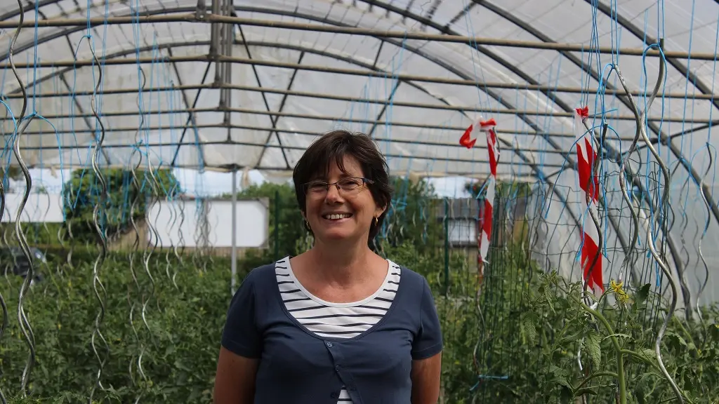 vallee-de-la-sarthe-Hode-Serres-Tomates