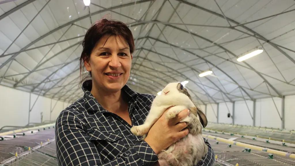 vallee-de-la-sarthe-Rosy-lapin-Ferme