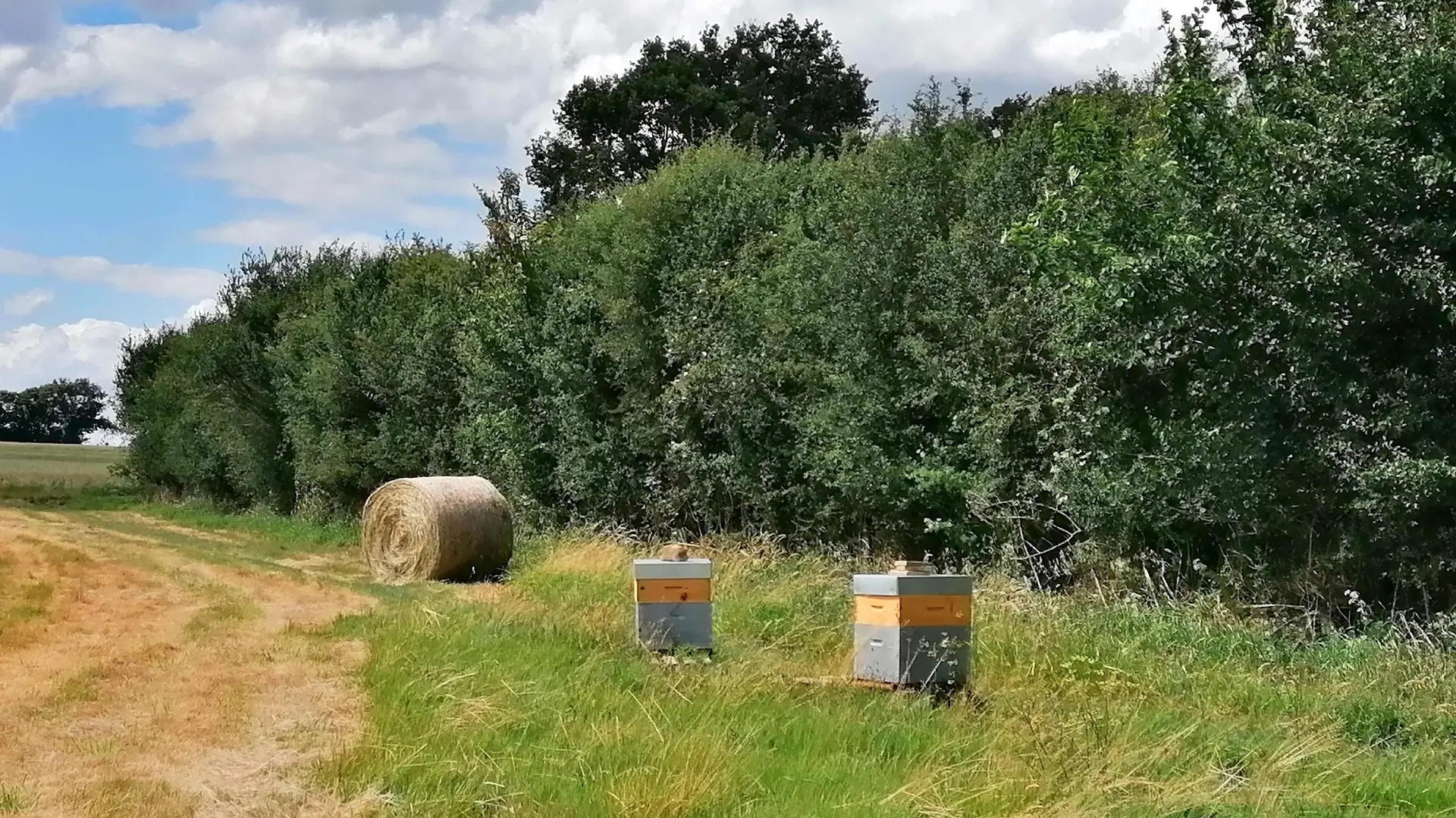 Vallée de la Sarthe - Souvigné - L'Apicole de Sophie