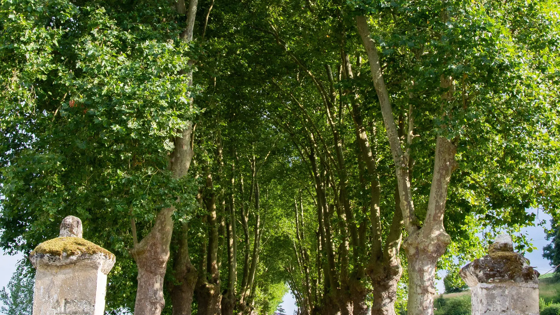 Château de Vaudésir 2021-18- crédti Stevan Lira (6)